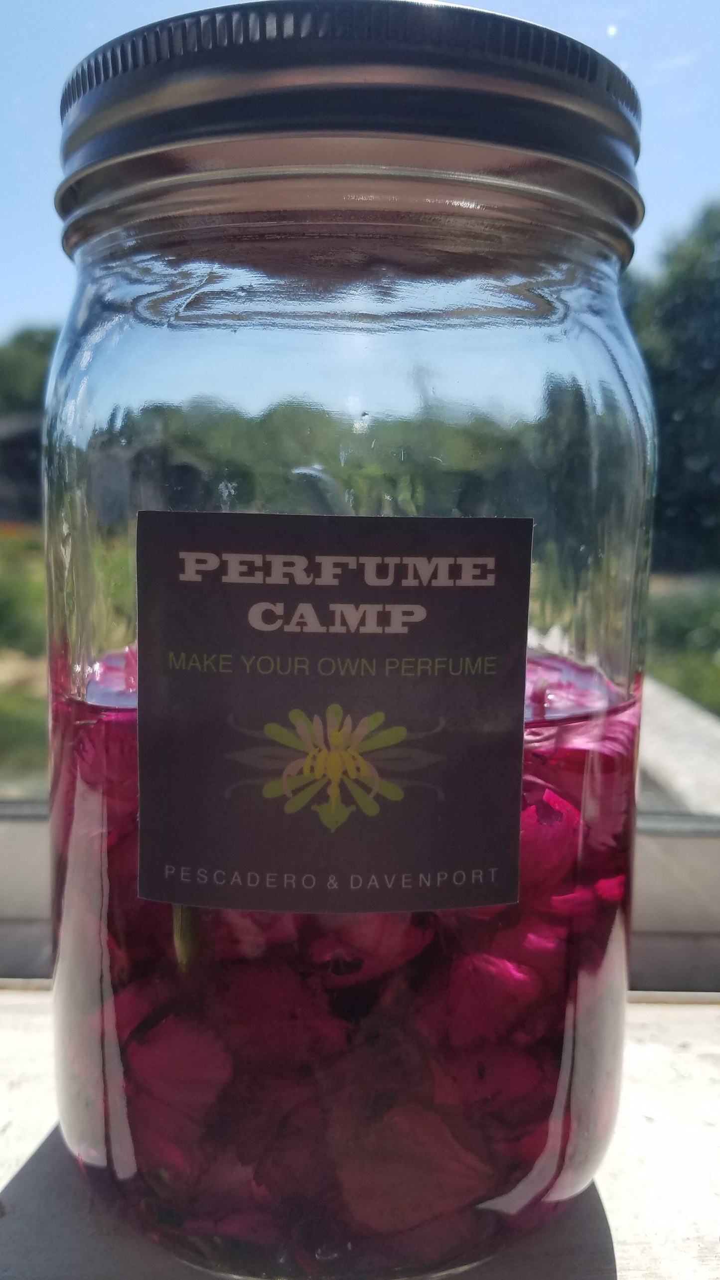 Dianthus Tincture 15ml