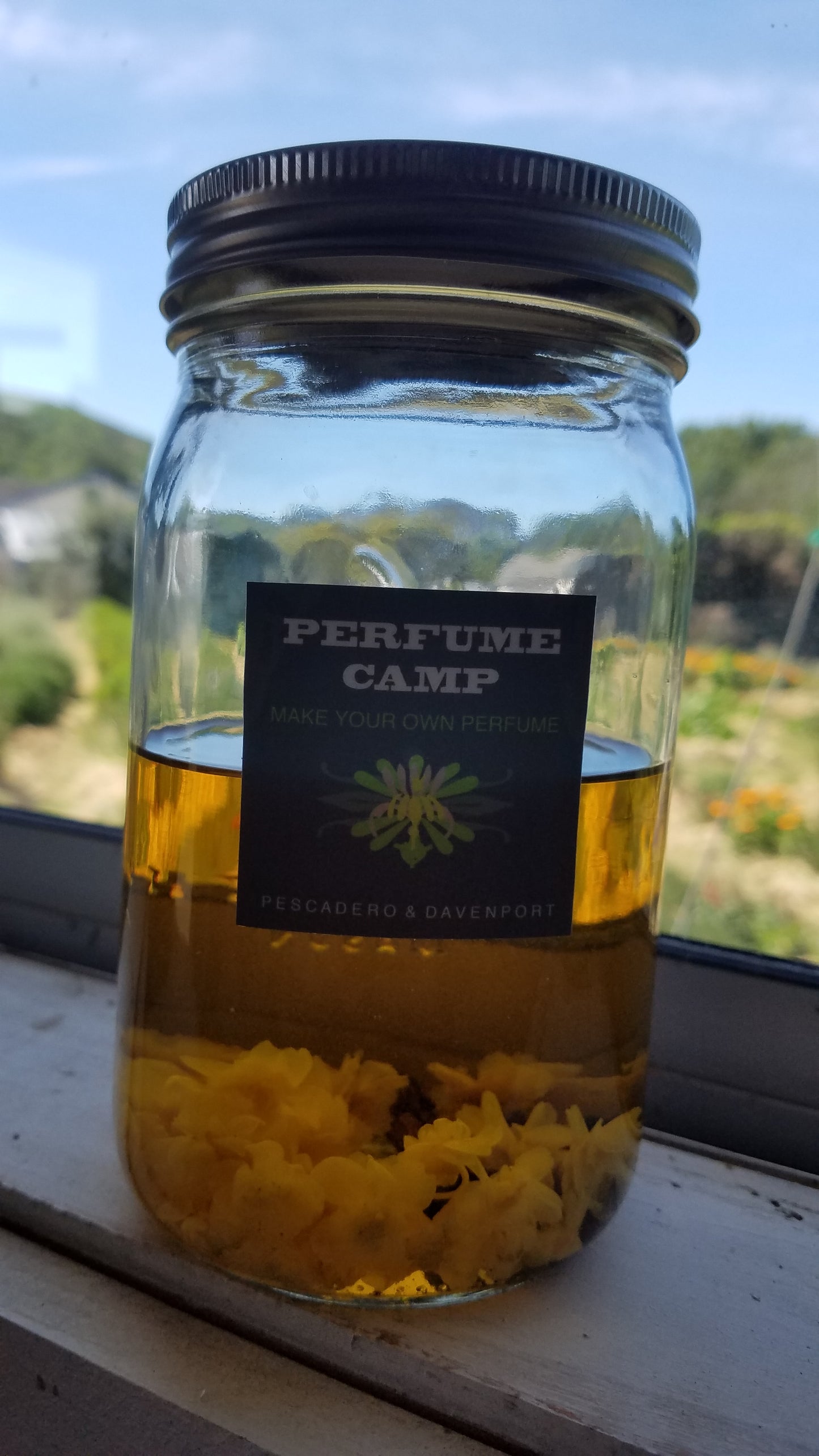 Vanilla & Violet Tincture