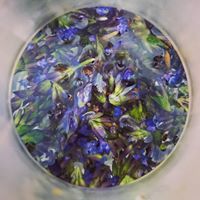Make Your Own Perfume In Our Davenport Perfume Studio for Twelve